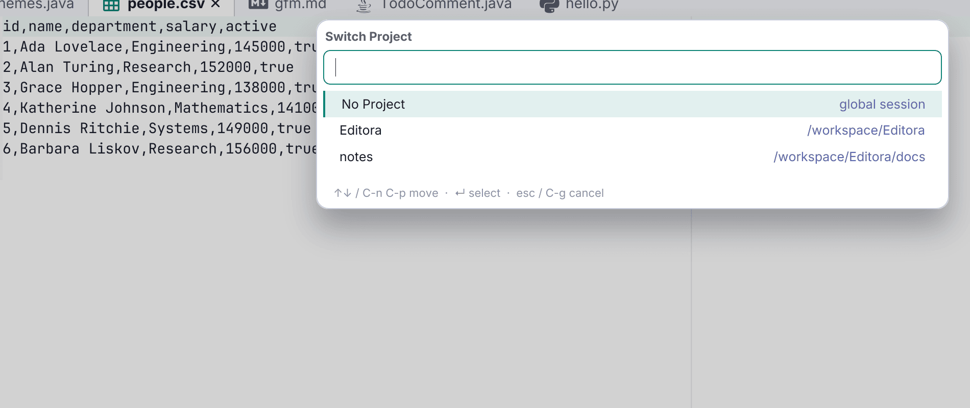 Projects in Editora